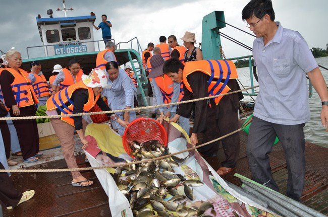 The ceremony praying for rebirth in Long An Province and Hoc Mon District