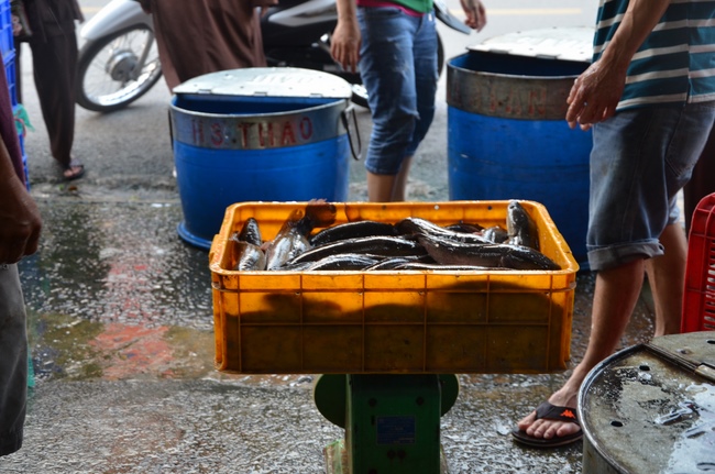 A praying ceremony for the rebirth and releasing creatures in Cu Chi