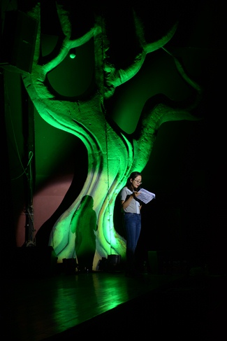 Trước giờ “G” chương trình Diệu Âm Hoằng Pháp 11