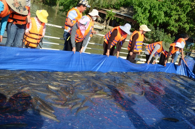 Lễ Cầu Siêu ở quận 12 và Phóng Sanh ở Củ Chi