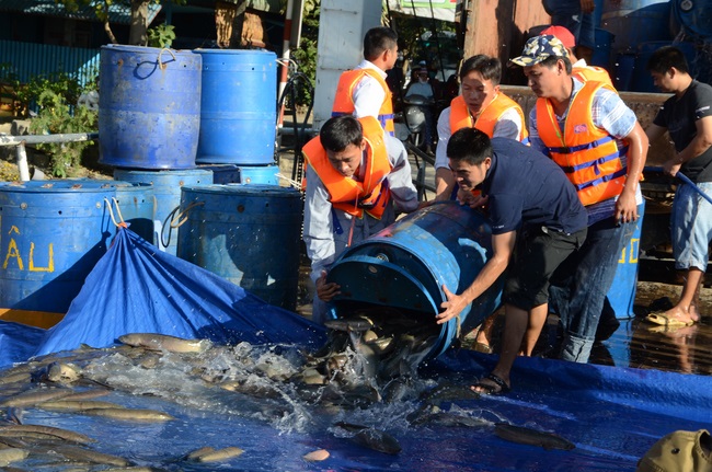 Lễ Cầu Siêu ở quận 12 và Phóng Sanh ở Củ Chi