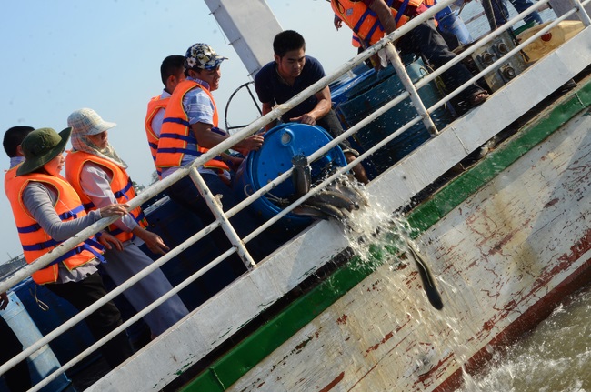 Lễ Cầu Siêu ở quận 12 và Phóng Sanh ở Củ Chi