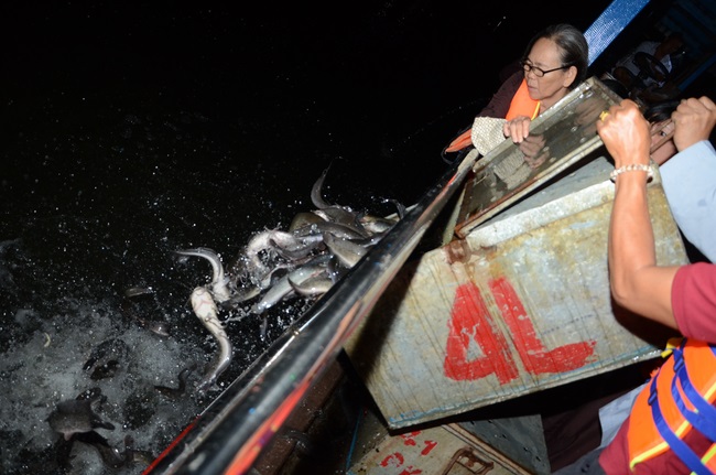 Lễ Cầu Siêu ở quận 12 và Phóng Sanh ở Củ Chi