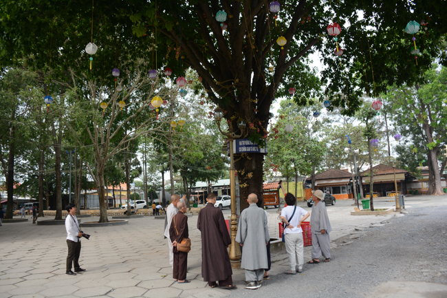 Korean Buddhist Delegation Visited Hoang Phap
