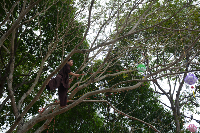 Prepare for Amitabha Buddha’s Birthday