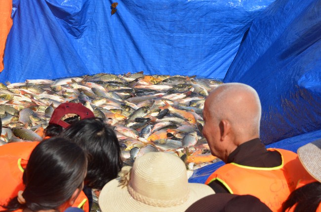 The Founder 's death anniversary at Quang Duc Pagoda and freeing creatures in Can Tho Province