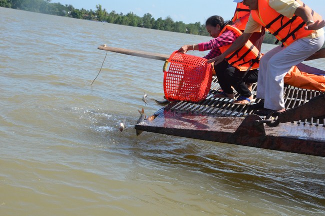 The Founder 's death anniversary at Quang Duc Pagoda and freeing creatures in Can Tho Province