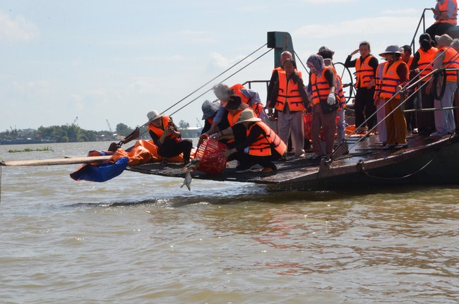The Founder 's death anniversary at Quang Duc Pagoda and freeing creatures in Can Tho Province