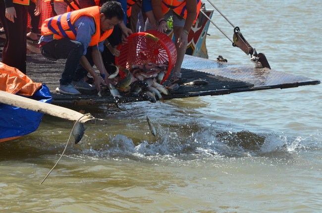 The Founder 's death anniversary at Quang Duc Pagoda and freeing creatures in Can Tho Province