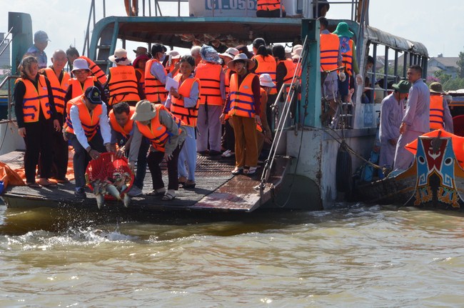 The Founder 's death anniversary at Quang Duc Pagoda and freeing creatures in Can Tho Province