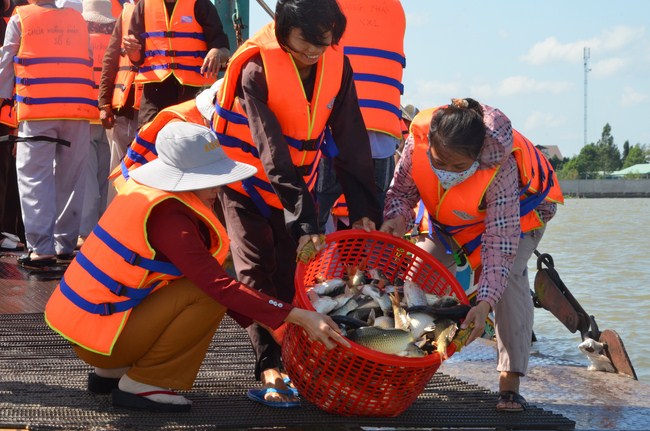 The Founder 's death anniversary at Quang Duc Pagoda and freeing creatures in Can Tho Province
