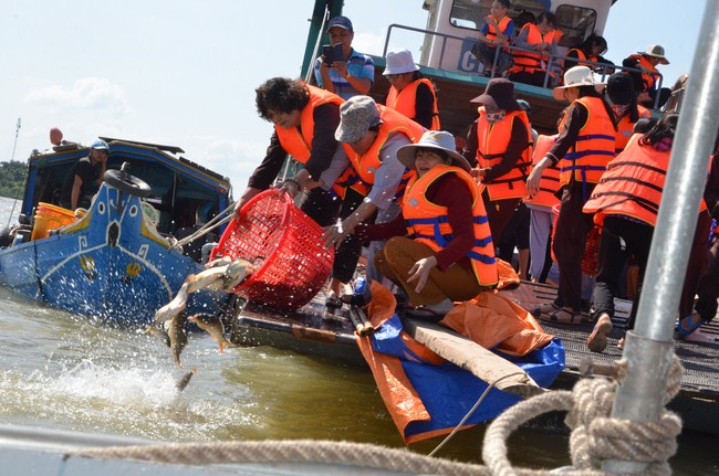 The Founder 's death anniversary at Quang Duc Pagoda and freeing creatures in Can Tho Province