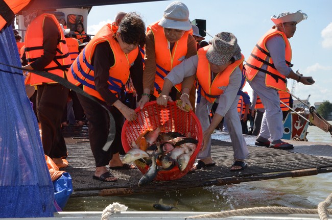 The Founder 's death anniversary at Quang Duc Pagoda and freeing creatures in Can Tho Province