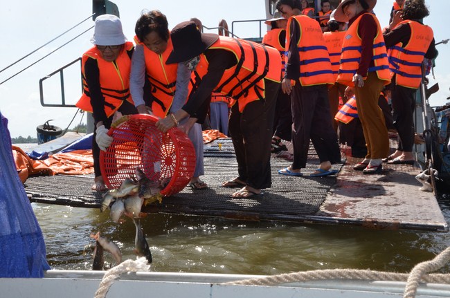 The Founder 's death anniversary at Quang Duc Pagoda and freeing creatures in Can Tho Province