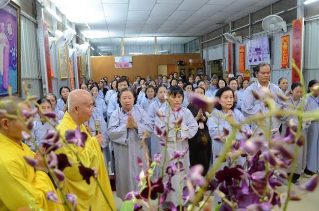 Medical Testing, Gift Offering in Cambodia and Creature Releasing