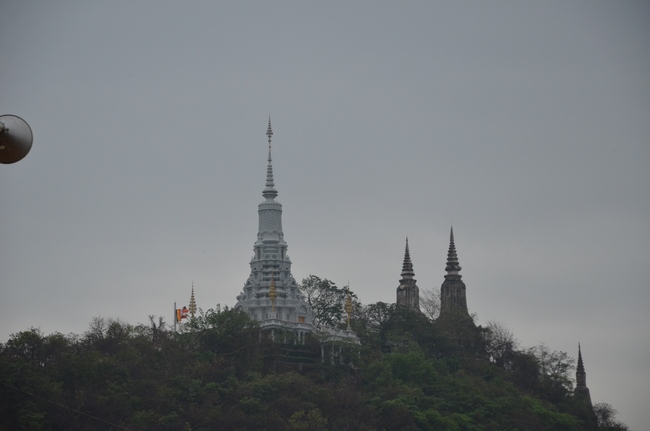 Medical Testing, Gift Offering in Cambodia and Creature Releasing