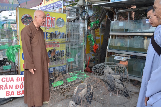 Medical Testing, Gift Offering in Cambodia and Creature Releasing