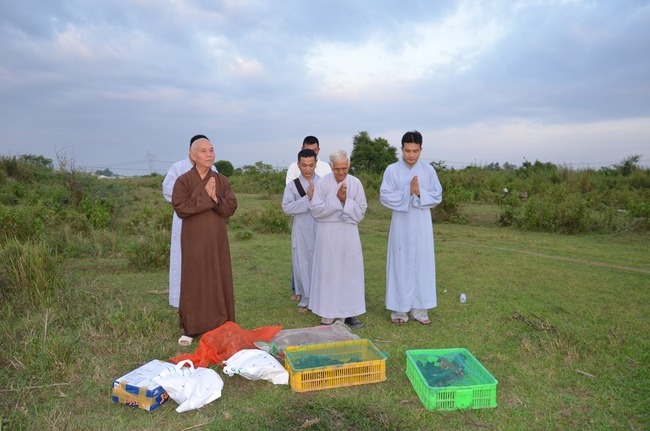 Medical Testing, Gift Offering in Cambodia and Creature Releasing