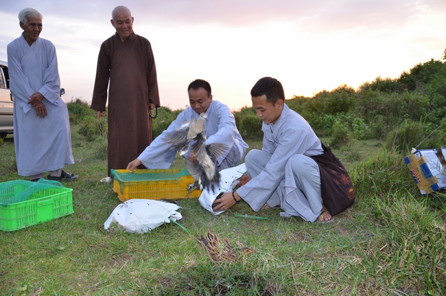 Medical Testing, Gift Offering in Cambodia and Creature Releasing