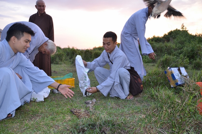 Medical Testing, Gift Offering in Cambodia and Creature Releasing