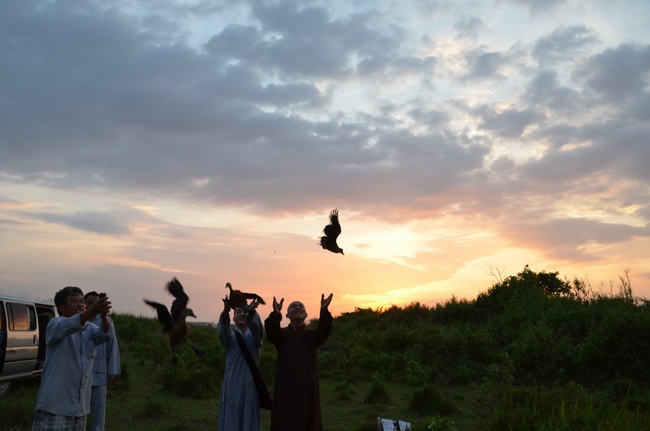 Medical Testing, Gift Offering in Cambodia and Creature Releasing