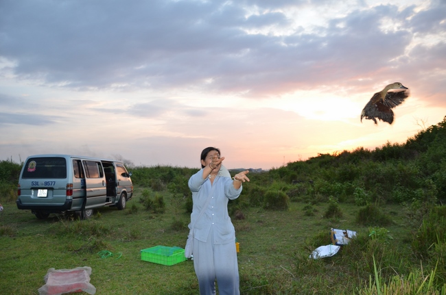 Medical Testing, Gift Offering in Cambodia and Creature Releasing