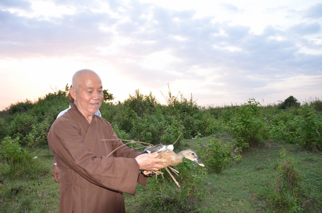 Medical Testing, Gift Offering in Cambodia and Creature Releasing