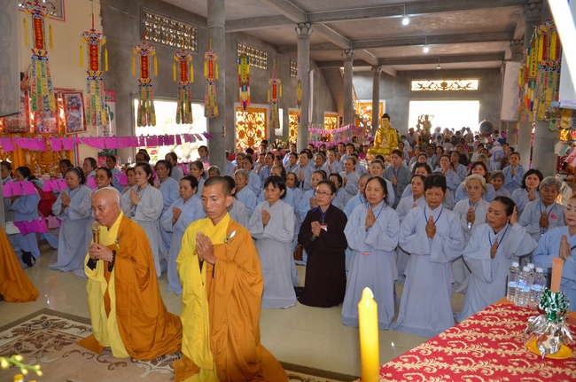 Medical Testing, Gift Offering in Cambodia and Creature Releasing