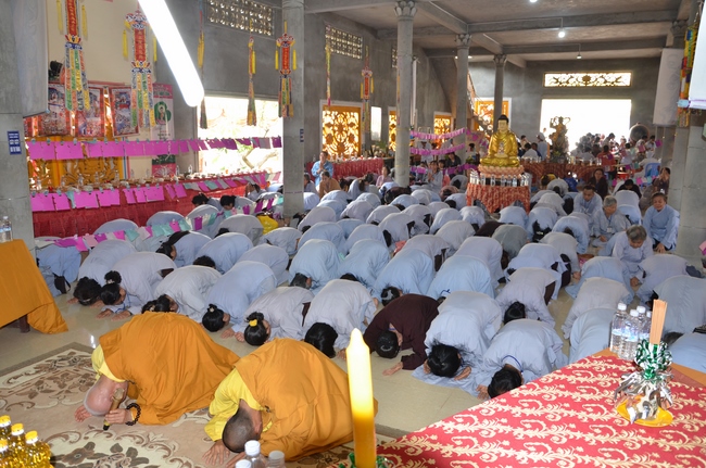 Medical Testing, Gift Offering in Cambodia and Creature Releasing