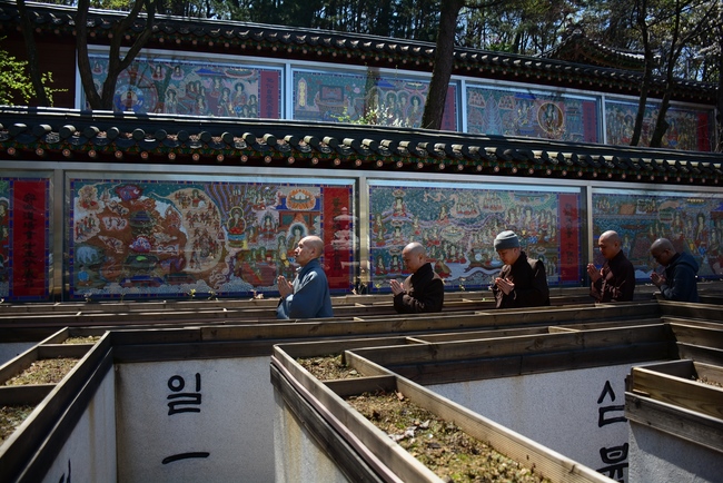 Activities in Korea