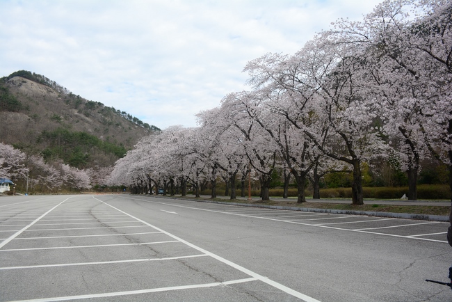 Visiting Temples In The Middle Korea