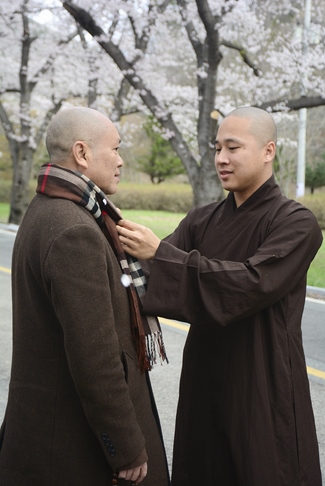 Visiting Temples In The Middle Korea