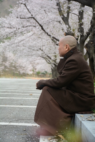 Visiting Temples In The Middle Korea