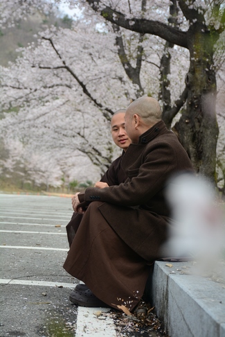 Visiting Temples In The Middle Korea