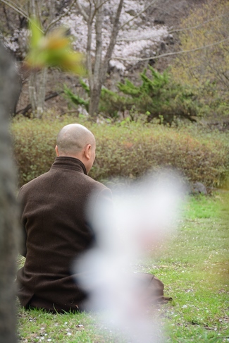 Visiting Temples In The Middle Korea