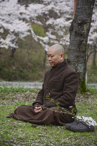 Visiting Temples In The Middle Korea