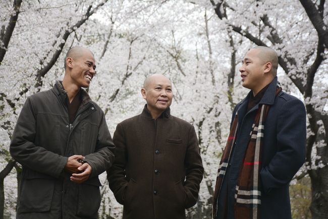 Visiting Temples In The Middle Korea