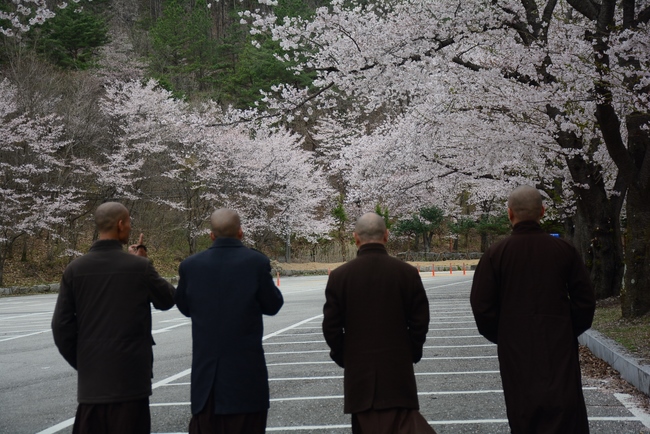 Visiting Temples In The Middle Korea