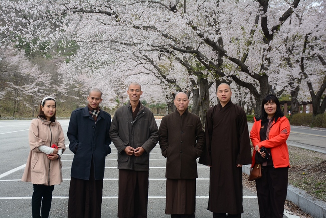 Visiting Temples In The Middle Korea