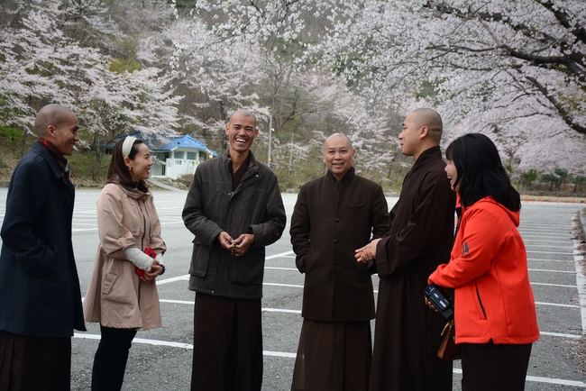 Visiting Temples In The Middle Korea