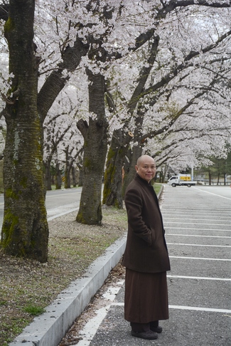 Visiting Temples In The Middle Korea