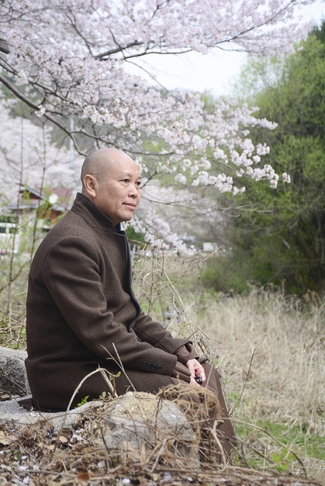Visiting Temples In The Middle Korea