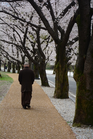 Visiting Temples In The Middle Korea