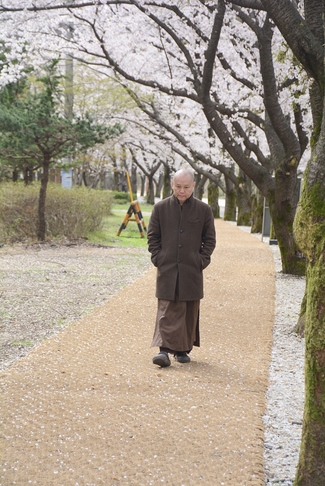 Visiting Temples In The Middle Korea