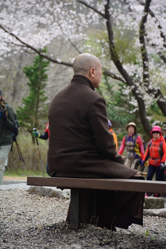 Visiting Temples In The Middle Korea