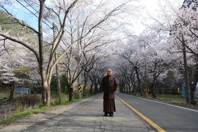 Visiting Temples In The Middle Korea