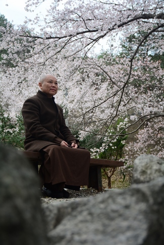 Visiting Temples In The Middle Korea