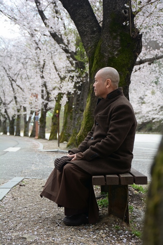 Visiting Temples In The Middle Korea