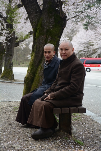 Visiting Temples In The Middle Korea