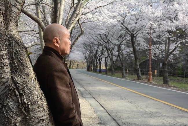 Visiting Temples In The Middle Korea